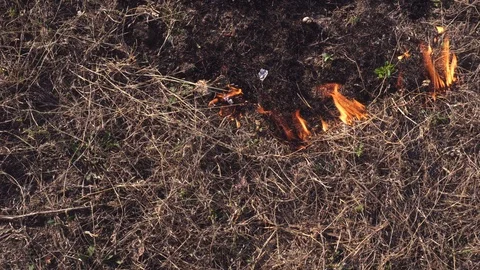 Close-up, burning field, dry grass on fire Video stock 129314743