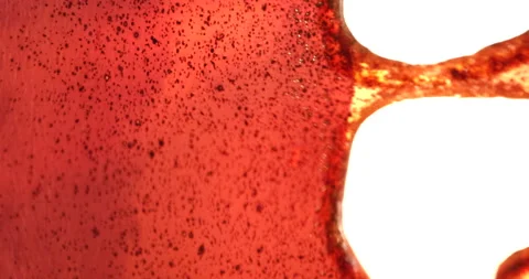 Close-Up Of A Burning Film Stock Footage 206157861