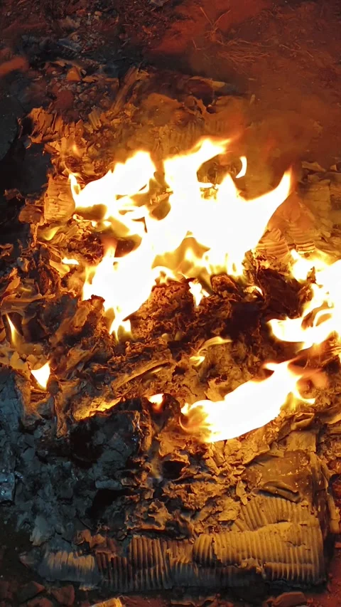 Close-Up of Burning Fire and Glowing Flames on Ashes Stock Footage 325525723