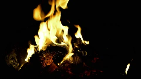 Close up burning fire. Bonfire. Burning pine cones. Stock Footage 153804472