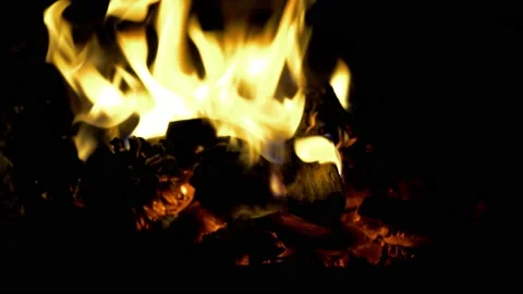 Close up burning fire. Bonfire. Burning pine cones. Stock Footage 153804678