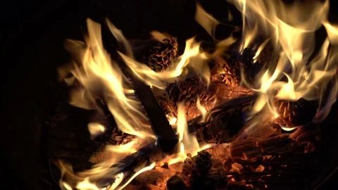 Close up burning fire. Bonfire. Burning pine cones. Stock Footage 153811167