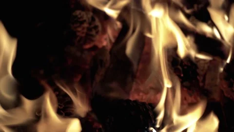 Close up burning fire. Bonfire. Burning pine cones. Stock Footage 153812682