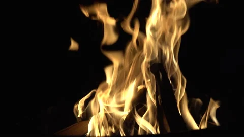 Close up burning fire. Bonfire. Stock Footage 153800554