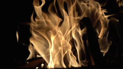 Close up burning fire. Bonfire. Stock Footage 153804280