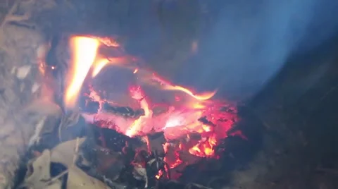 Close-up of burning fire, daytime Stock Footage 52307875