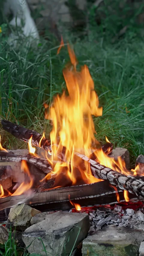 Close-up Burning fire with firewood lined with bricks Stock Footage 233318161