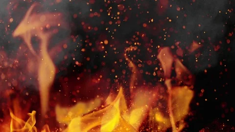 Close-up of burning fire, flames burning on black background Stock Footage