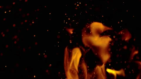Close-up of burning fire, flames burning on black background Stock Footage 137326211