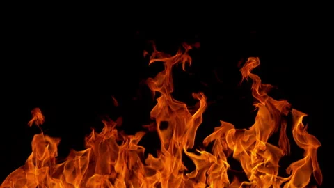 Close-up of burning fire, flames burning on black background Stock Footage 245917148