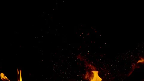 Close-up of burning fire, flames burning on black background Stock Footage 292817836