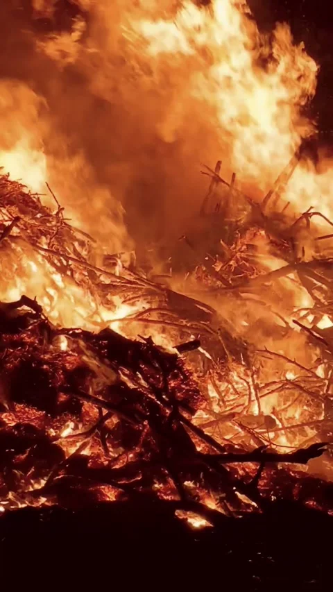 Close-up of burning fire Stock Footage 272742666