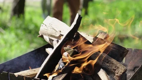 Close-up of a burning fire in nature on a warm summer day Stock Footage 272203610
