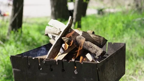Close-up of a burning fire in nature on a warm summer day Stockbeeldmateriaal 272203615