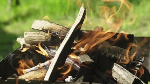 Close-up of a burning fire in nature on a warm summer day Stockbeeldmateriaal 272204020