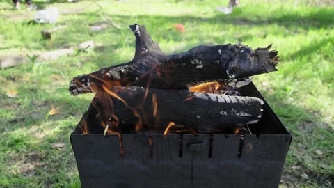 Close-up of a burning fire in nature on a warm summer day Stockbeeldmateriaal 272213287