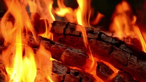 Close-Up of Burning Firewood and Flames Stock Footage 342120583