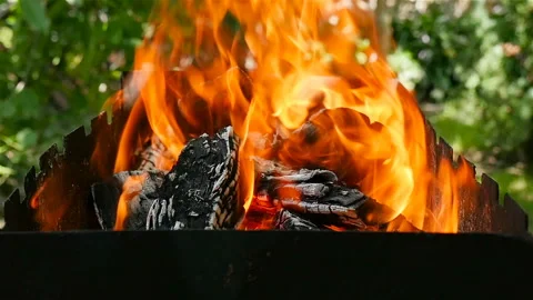 Close-up of burning firewood. Beautiful flames of fire Stock Footage 101466656