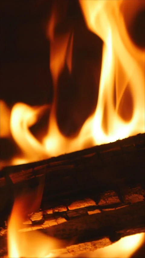 Close-Up Of Burning Firewood With Bright Flames. Vertical. Video stock 285236249