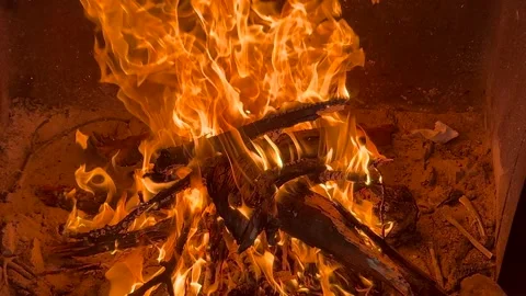 Close-up of burning firewood with bright orange flames Stock Footage 344988962