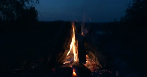Close-up Burning Firewood Fire Flame Campfire on Camping Site Near Lake in Field Stock Footage 162268325