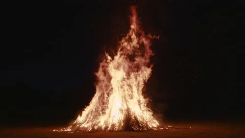 Close-up burning firewood fire flame campfire on camping. Rural country Stock Footage 201458142