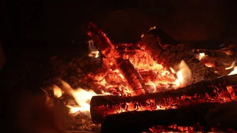 Close up of burning firewood in the fireplace Stock-Footage 101076342