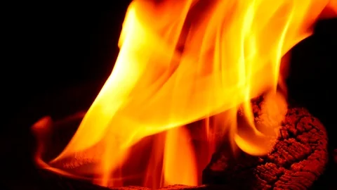 Close up of burning firewood Stock Footage 83736879
