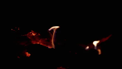 Close-up of Burning Firewood Stock Footage 293273846