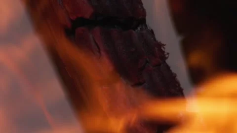 Close Up of Burning Firewood with Glowing Embers and Flickering Motion Stock Footage 342293213