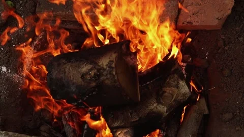 Close-Up of Burning Firewood with Intense Flames Stock Footage 302966675