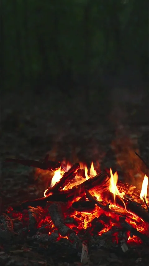 Close-up Burning Firewood Logs and Glowing Coals Seamless Loop with Sound Video stock 344951168