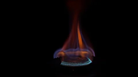 Close up of burning flame. Kitchen gas stove Video stock 109287158