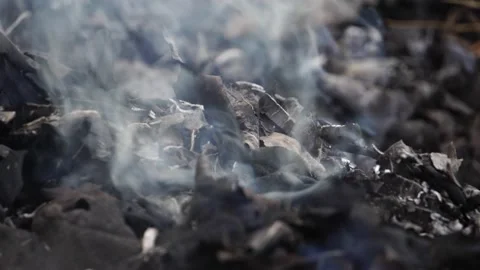 Close up: A burning forest fire Stock Footage 225287200