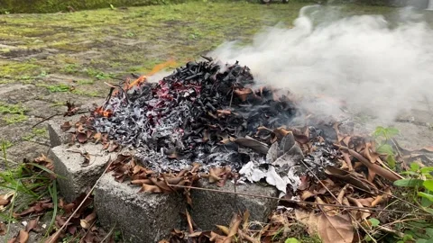 Close up burning leaf leaves in fire pit bonfire with thick white smoke Stock Footage 202305515
