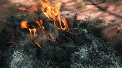 Close up burning leaves and pine needles in a firepit Stock Footage 243565601