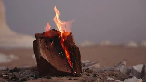 Close Up Burning Log Campfire with Open Flames in Egyptian Desert at Sunset Stock Footage 341995017