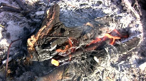 Close up of burning log fire Stock Footage 57289172