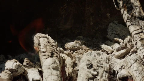 Close-up of burning log in fireplace with glowing embers and dancing flames 動画素材 342379752