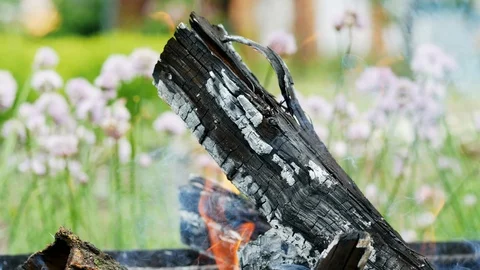 Close-up of a burning log, firewood burning in a brazier at a picnic in the Stock Footage 109199079