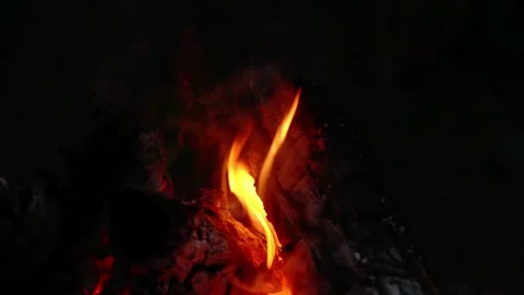 Close-up of burning log with glowing embers and flames in the dark Stock Footage 341682624