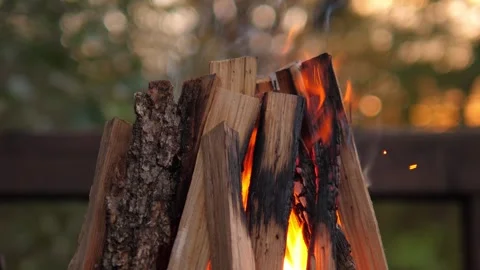 Close-up of burning logs in a bonfire in autumn. Stock Footage 295843545