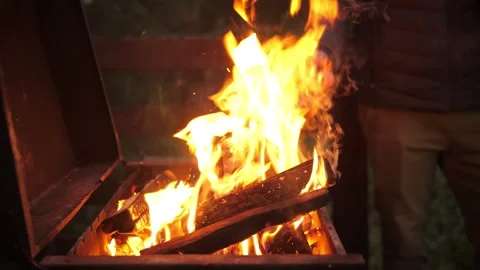 Close-up of burning logs in the campfire in the evening. Stock Footage 251709151