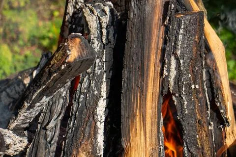 Close-up of burning logs in a campfire with glowing orange flames and smoke Stock Photos