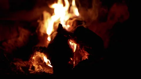 Close Up of Burning Logs Stock Footage 293258840