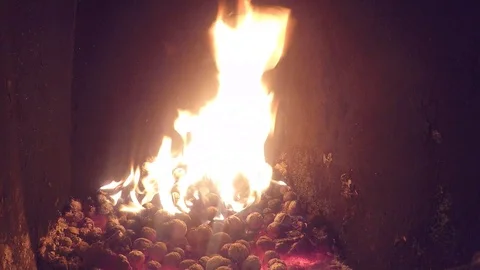 Close up of burning nuts in fireplace Stock Footage 88262163