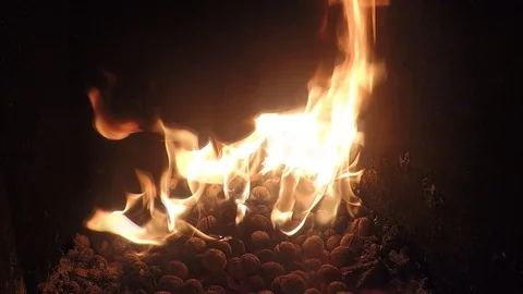 Close up of burning nuts in fireplace slow motion Stock Footage 88264227