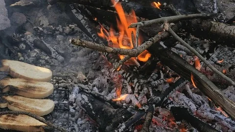 Close-Up On A Burning-Out Campfire In The Forest. Slow motion. Video stock 78420447
