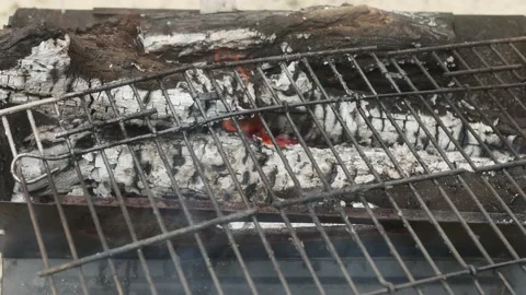 Close-up of burning thick branches in a camping barbecue Vídeos de archivo 171600933