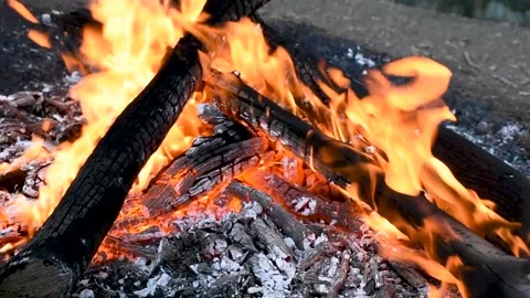 Close up of burning wood in the fire, burning bonfire in the forest in full HD Video stock 167235486